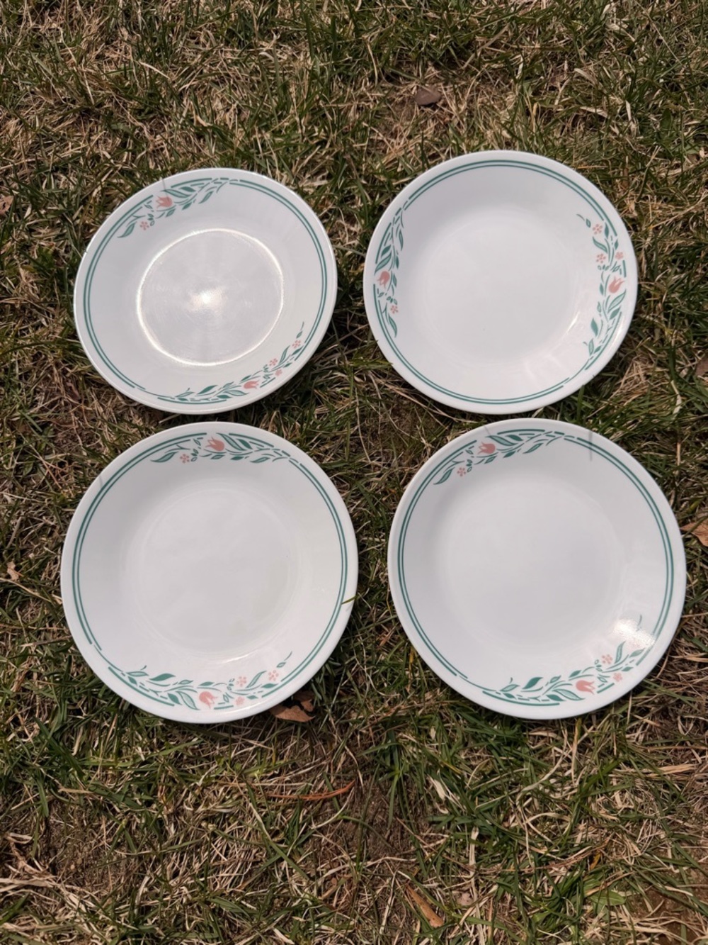 Corelle Rosemarie bread and butter Plates with Green and Pink Floral Border